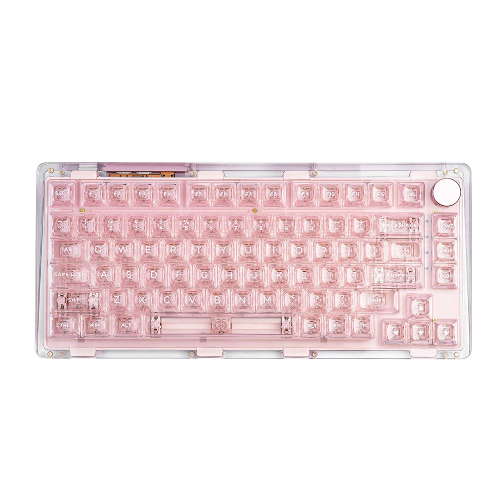 Limited Edition Transparent Keyboard