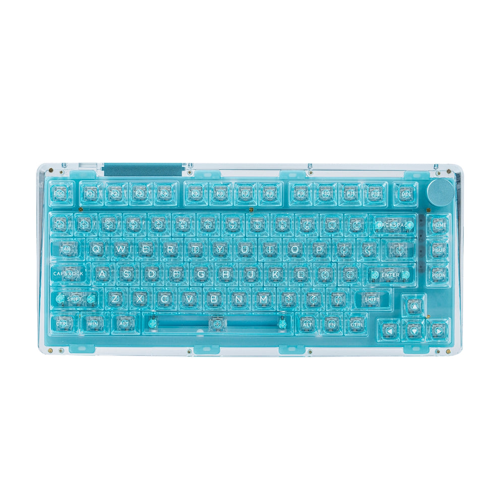 Limited Edition Transparent Keyboard