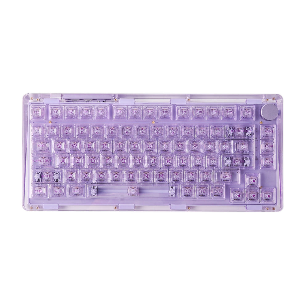 Limited Edition Transparent Keyboard